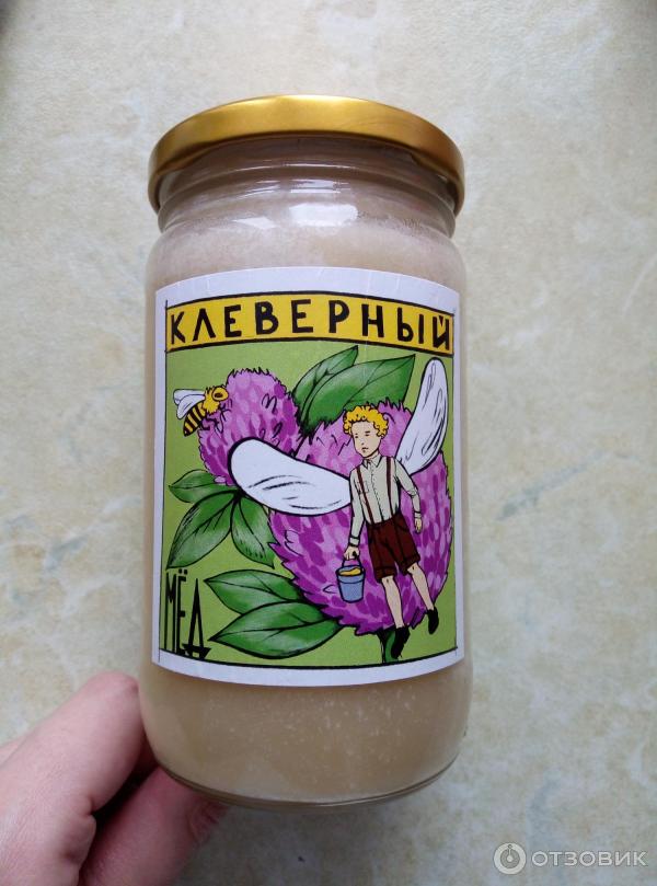 Отзыв о Клеверный мед Антон Медов | Нежнее привычного мёда.