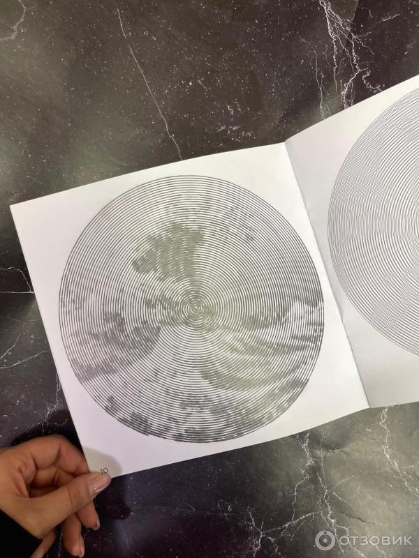 Отзыв о Раскраска-антистресс спирали Flyprint "Мировая живопись ...