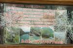 База отдыха "Женьшень" (Россия, Мостовской) фото