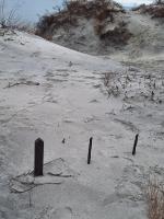 Отдых в Калининграде (Россия, Калининградская область) фото