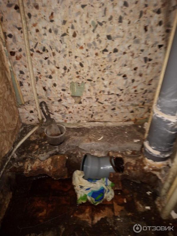 Отзыв о Компания \"24 сантехник\" (Россия, Санкт-Петербург) | Быстрая помощь