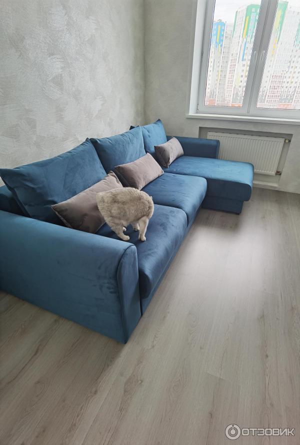 Отзыв о Сеть магазинов \"Много мебели\" (Россия, Зеленоград) | Есть ...