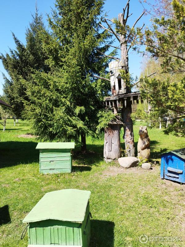 Музейный комплекс старинных народных ремесел и технологий Дудутки (Беларусь, Минская область) фото