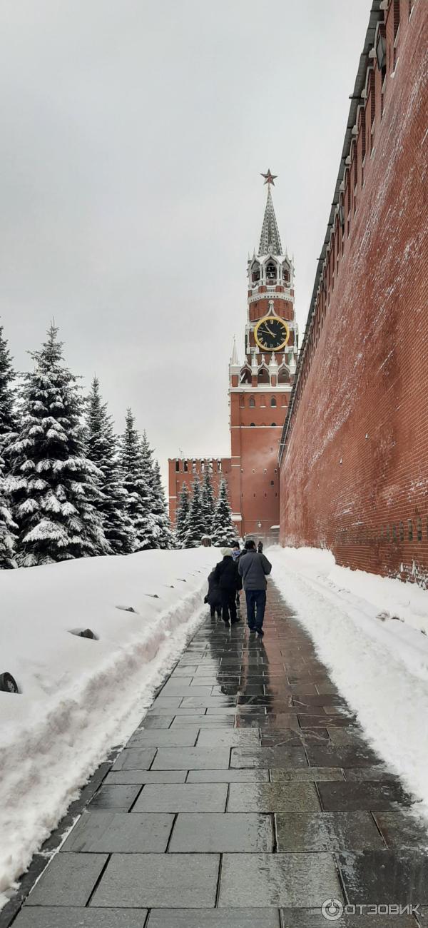 Мавзолей Ленина (Россия, Москва) фото