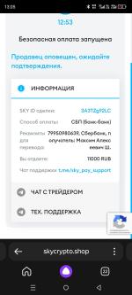 SkyCrypto.net - криптовалютный обменник фото