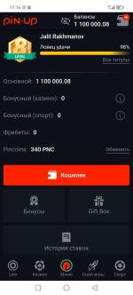 Pin-up.bet - букмекерская контора фото