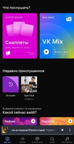 Решение распространенных проблем с приложением | Музыка ВК для Windows 8 | VK