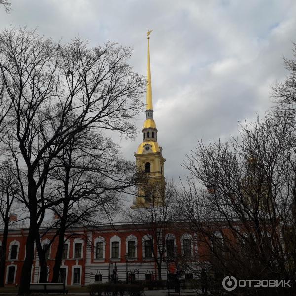 Выставка ледовых скульптур у Нарышкина бастиона Петропавловской крепости (Россия, Санкт-Петербург) фото