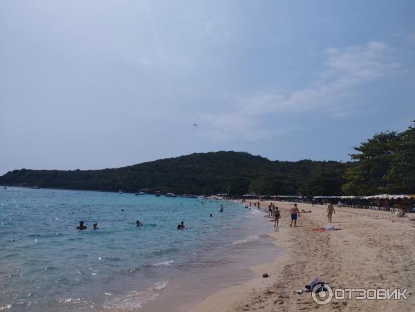 Пляж Monkey Beach (Таиланд, Ко Лан) фото