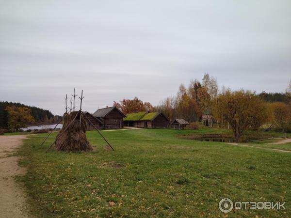 деревенские девушки в бане : жуткая история изнасилования, о котором  промолчали - МК