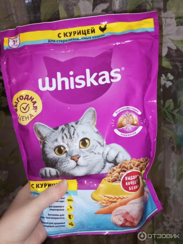 кошачий корм перфект фит влажный для стерилизованных кошек. корм перфект фит для стерилизованных кошек влажный. котов, пауч 85 гр. влажный корм для стерилизованных кошек отзывы. Royal canin sterilised желе 85 гр.