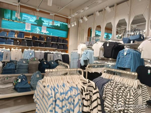 коллектив юристов. отзывы о пр. джоб девелопмент. сайты отзывов о товарах. декабристов 51 варикоза нет.