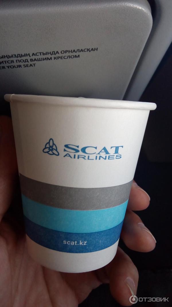 Авиакомпания Scat Airlines фото