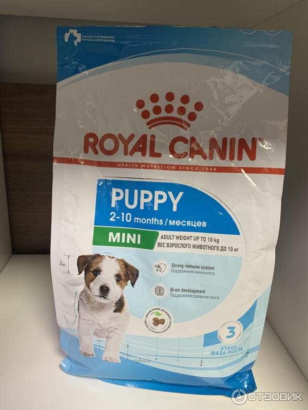 Купить корм royal canin для собак