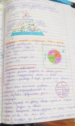 Nutrition-university.com - Международный университет интегративной нутрициологии и функциональной медицины фото