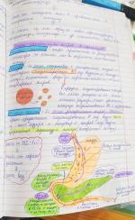 Nutrition-university.com - Международный университет интегративной нутрициологии и функциональной медицины фото