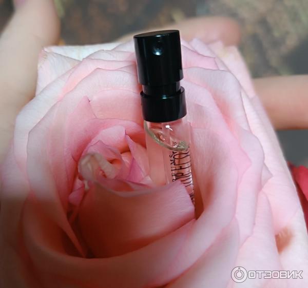 Парфюмерная вода Essential Parfums Rose Magnetic фото