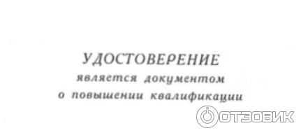 Федеральный проект Содействие занятости (Россия) фото