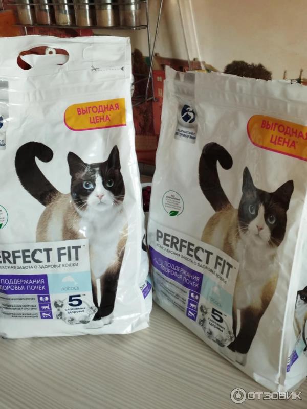 Отзыв о Сухой корм для кошек Perfect fit для поддержания здоровья почек ...