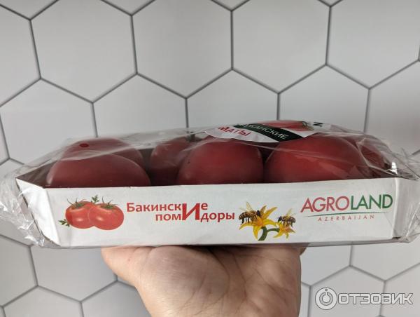 Томат азербайджанский