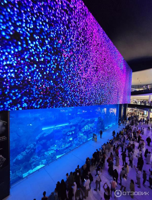 Торгово-развлекательный центр Dubai Mall (ОАЭ, Дубай) фото