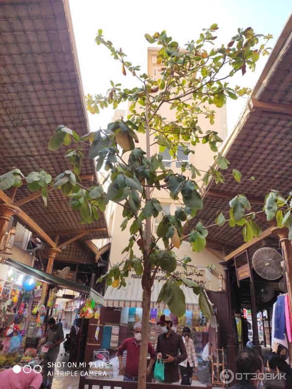 Рынок Gold Souk (ОАЭ, Дубай) фото