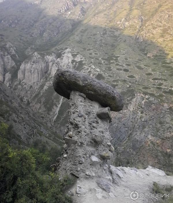 Каменные грибы на Алтае (Россия, Республика Алтай) фото