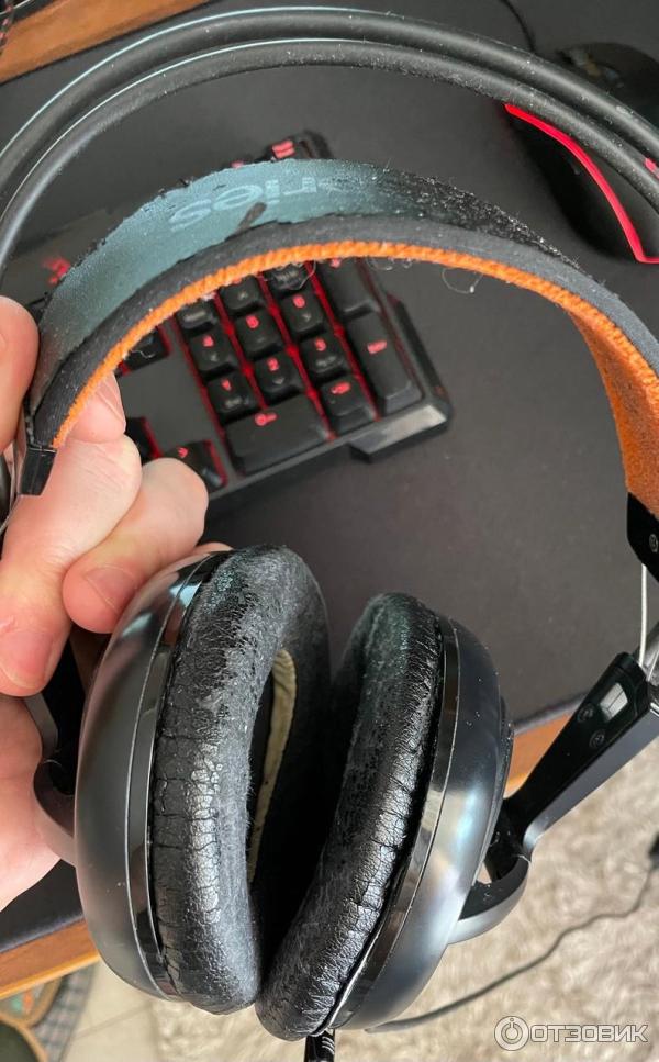 Наушники с микрофоном SteelSeries Siberia 200 фото