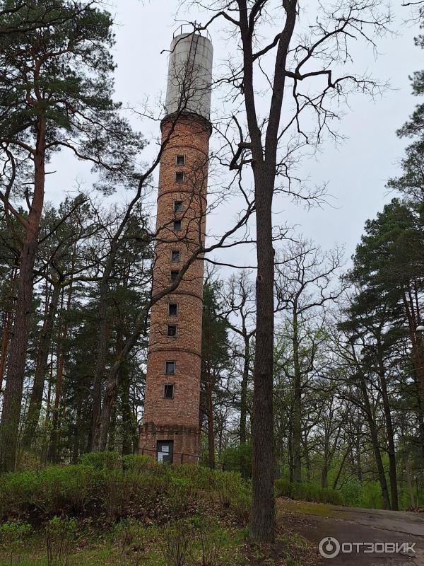 Санаторий Золотые пески (Беларусь, Гомельская область) фото