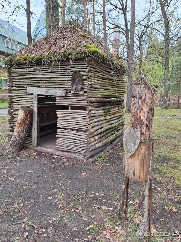 Санаторий Золотые пески (Беларусь, Гомельская область) фото