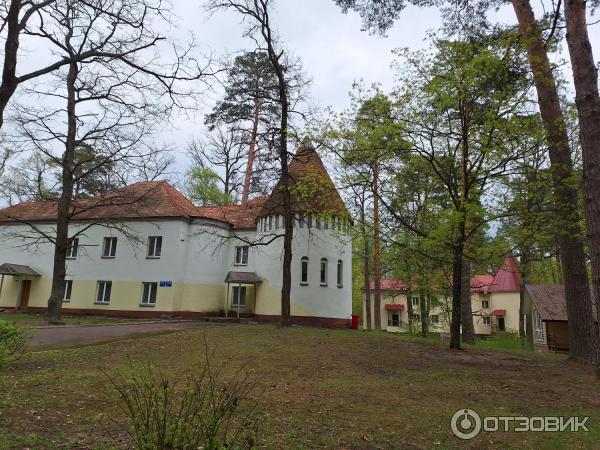 Санаторий Золотые пески (Беларусь, Гомельская область) фото