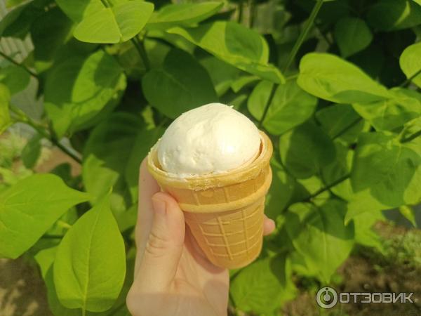 Отзыв о Мороженое Сарафаново "Пломбир ванильный" в вафельном стаканчике ...