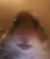 Funny dogy