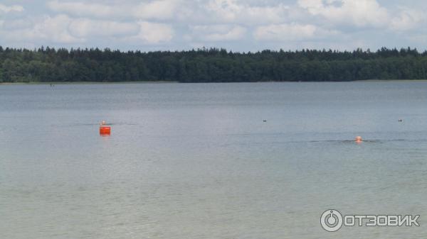 Отдых на озере Свитязь (Беларусь, Гродненская область) фото