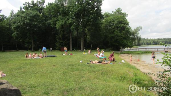 Отдых на озере Свитязь (Беларусь, Гродненская область) фото