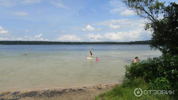 Отдых на озере Свитязь (Беларусь, Гродненская область) фото