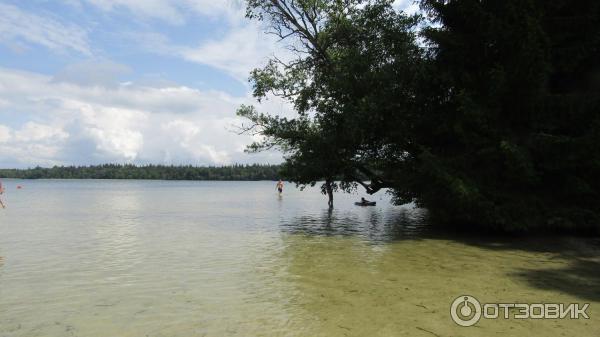 Отдых на озере Свитязь (Беларусь, Гродненская область) фото