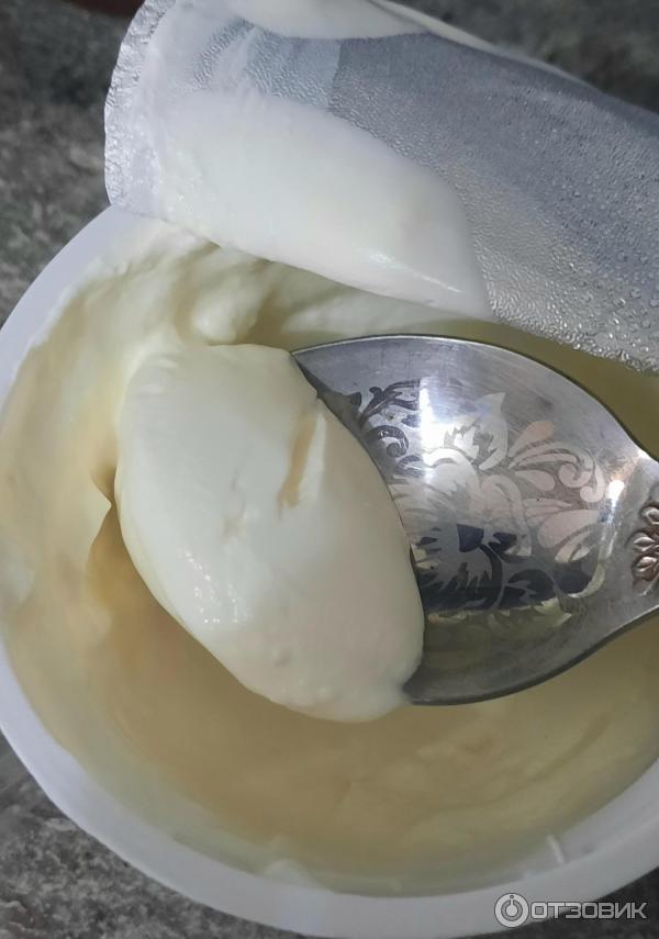 Отзыв о Сметана Савушкин продукт "Брест-Литовск" 15% | "В сметане ложка ...
