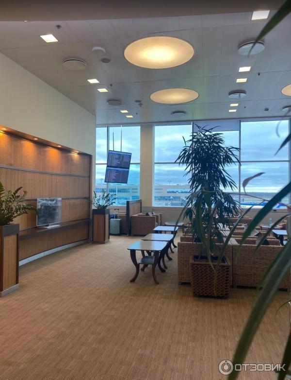 Бизнес-зал Airport Business Lounge аэропорт Домодедово (Россия, Москва) фото