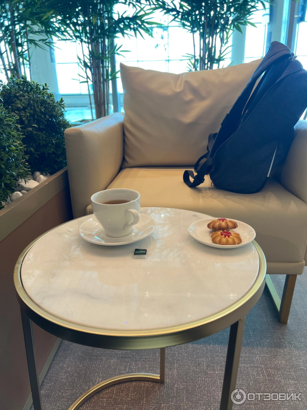 Бизнес-зал Airport Business Lounge аэропорт Домодедово (Россия, Москва) фото