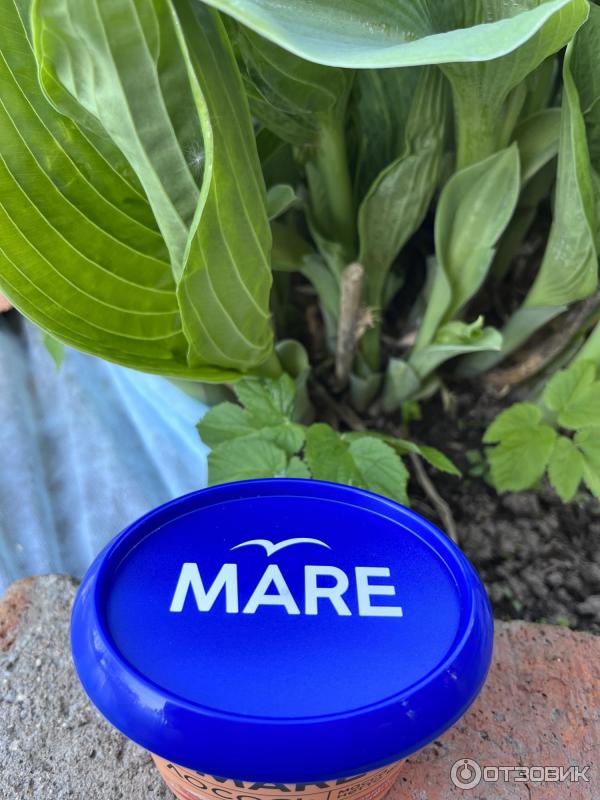 Отзыв о Лосось Балтийский берег PATE LE MARE подкопченный рубленый ...