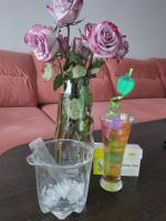 Смарт коктейль Nl International "EDшка" фото