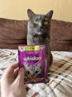Продукция Whiskas фото