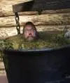 pavelbuhre
