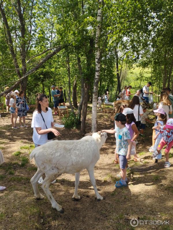 Агротуристический комплекс Зооферма Шихово (Россия, Московская область) фото