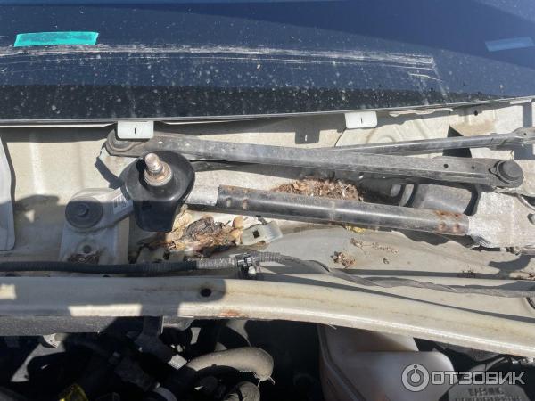 Отзыв о Автосалон "Рольф ЮГ" (Россия, Москва) | Халатное отношение к работе