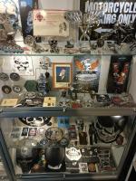 Музей Черепов и Скелетов "МЧС" (Россия, Зеленоградск) фото