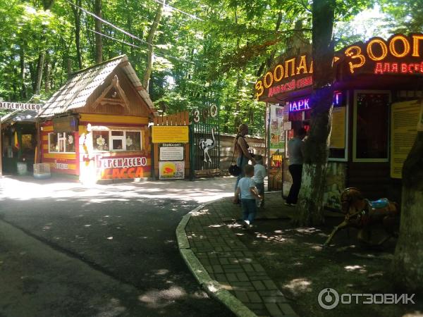 Баскетбольная площадка в парке Победы Ставрополь