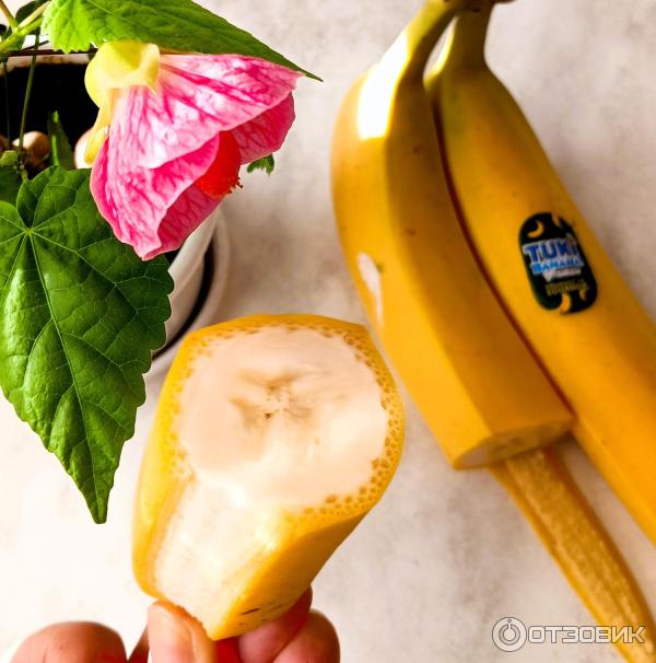 Әйелі күйеуін порно арқылы алдағанды жақсы көреді