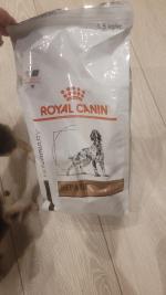 Сухой корм для собак Royal Canin Hepatic для поддержания функции печени фото